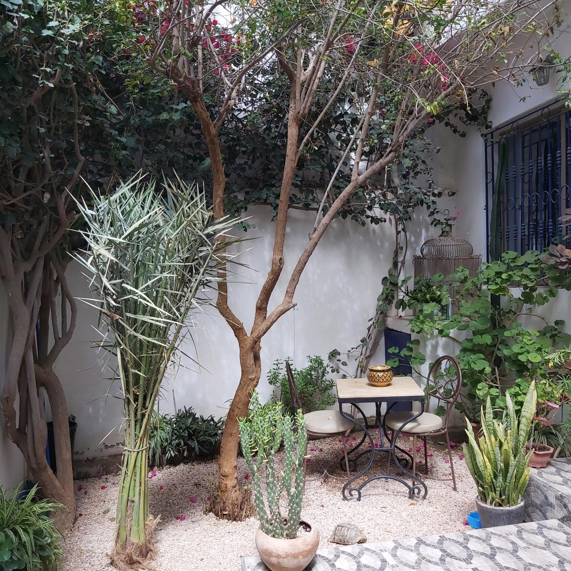Villa Michel Tamraght Εξωτερικό φωτογραφία